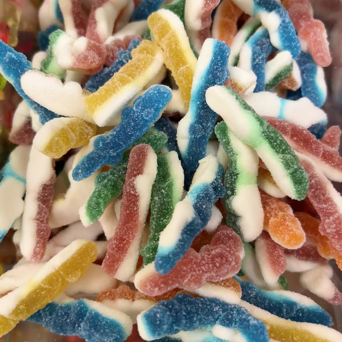 Sugared Crocodiles ๐