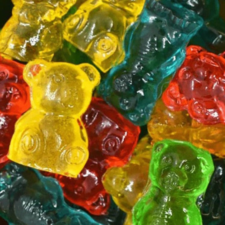 4D Bears 🧸