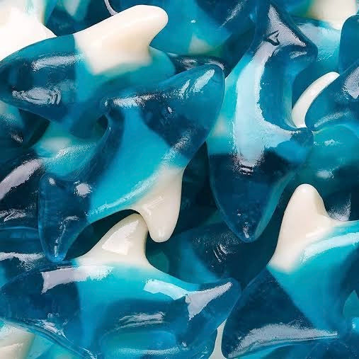 Blue Sharks (US) 🦈