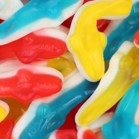 Fruity Sharks 🦈