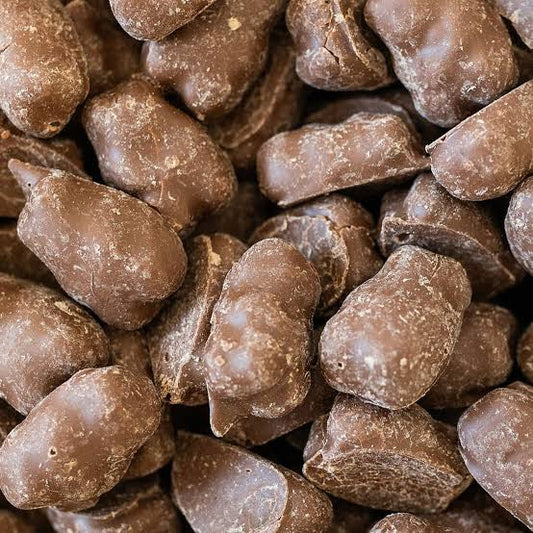 Choc Coated Gummi Bears 🐻