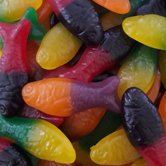 Colourful Fish (NZ) 🐠