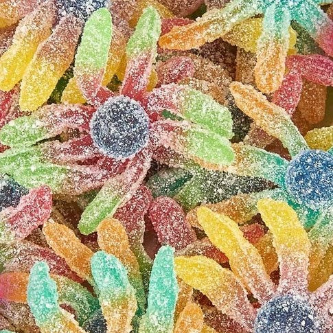 Sugared Octopus 🐙